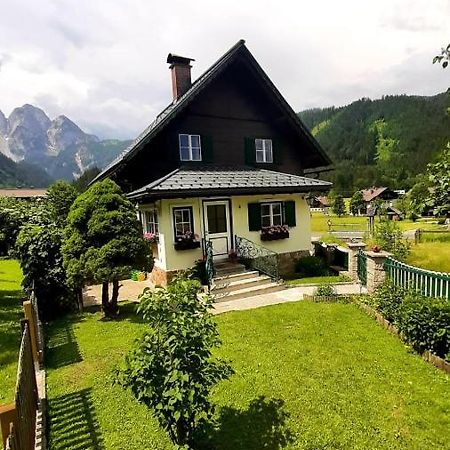 Ferienhaus Waldglueck 고사우 외부 사진