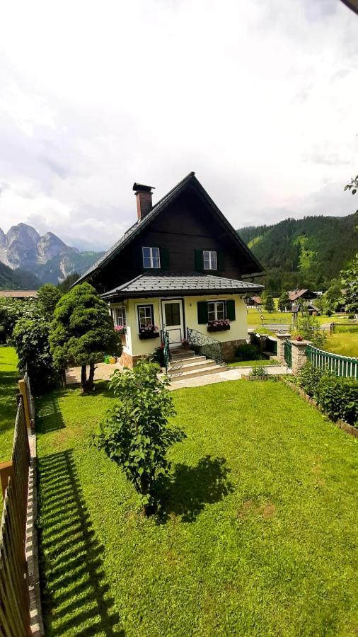 Ferienhaus Waldglueck 고사우 외부 사진