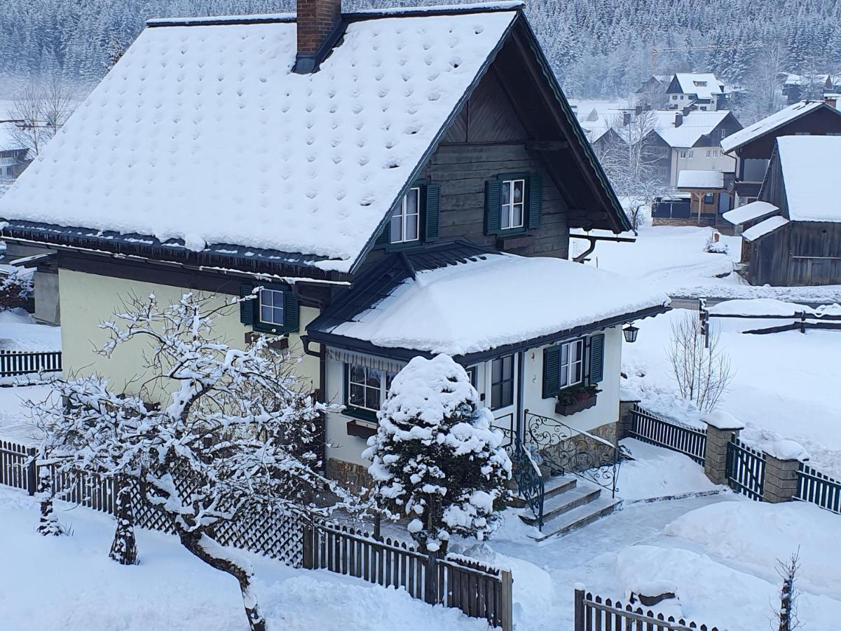 Ferienhaus Waldglueck 고사우 외부 사진