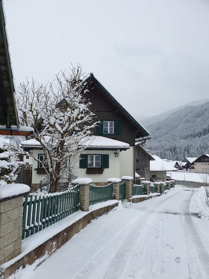 Ferienhaus Waldglueck 고사우 외부 사진